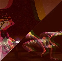 Affiche de Nocturne danse #45
