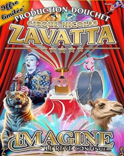 Affiche de Cirque Nicolas Zavatta Douchet dans Imagine - Vertou