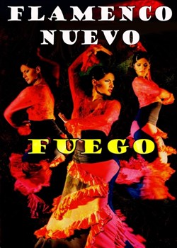 Affiche de Flamenco Fiesta