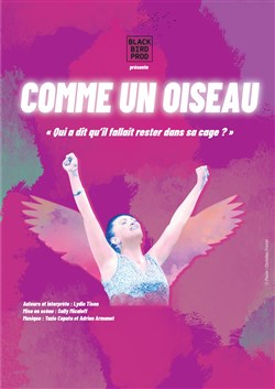 Affiche de Lydie Tison dans Comme un oiseau