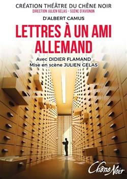 Affiche de Lettres à un ami allemand