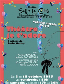 Affiche de Théâtre je t'adore