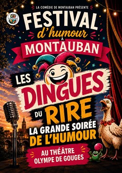 Affiche de Grande soirée des dingues du rire