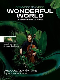 Affiche de Wonderful world