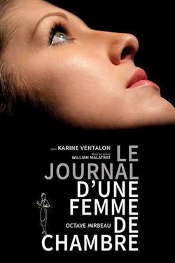 Affiche de Le journal d'une femme de chambre