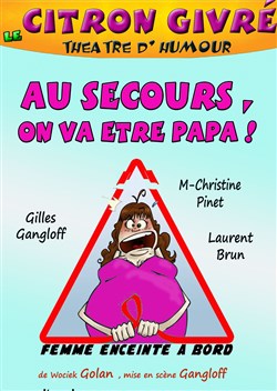 Affiche de Au secours, on va être papas !