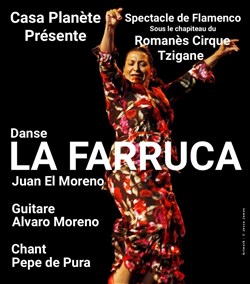 Affiche de La Farruca : Casa planète
