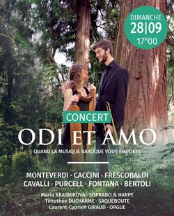 Affiche de Odi et Amo