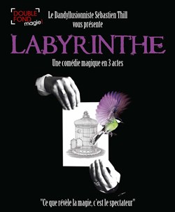 Affiche de Sébastien Thill dans Labyrinthe