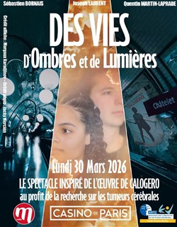 Affiche de Des vies, d'ombres et de lumières