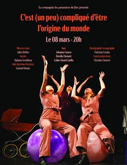 Affiche de C'est (un peu) compliqué d'être l'origine du monde