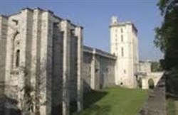 Affiche de Visite guidée : Le château de Vincennes | par Pierre-Yves Jaslet