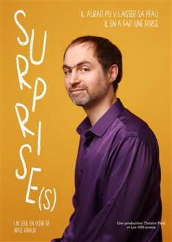 Affiche de Brice Vidaud dans Surprise(s)