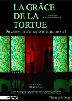 Affiche de La grâce de la tortue ou comment je n'ai pas réussi à rater ma vie