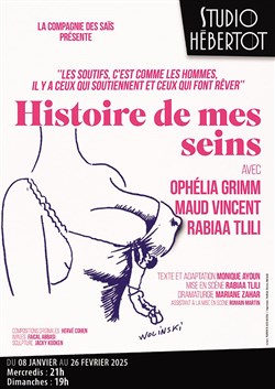 Affiche de Histoire de mes seins