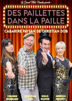 Affiche de Des paillettes dans la paille