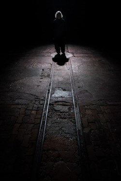 Affiche de L'espèce humaine