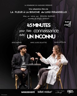 Affiche de 45 Minutes pour faire connaissance avec un inconnu