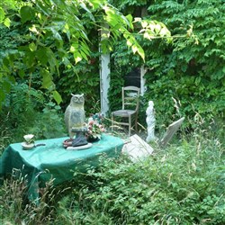 Affiche de Prix Nobel de l'amour