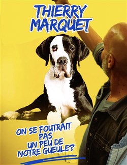 Affiche de Thierry Marquet dans On se foutrait pas un peu de notre gueule ?