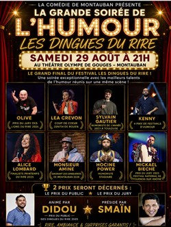 Affiche de Grande soirée des dingues du rire