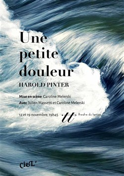 Affiche de Une petite douleur