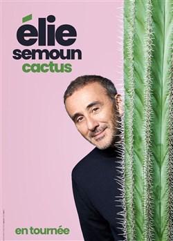 Affiche de Elie Semoun dans Cactus