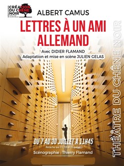 Affiche de Lettres à un ami allemand