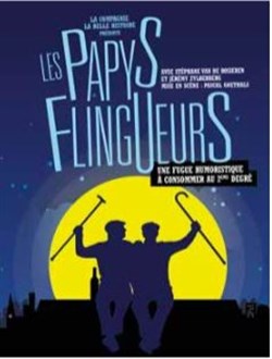 Affiche de Les papys flingueurs