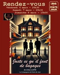 Affiche de Juste ce qu'il faut de bagages