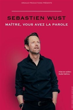 Affiche de Sébastien Wust dans Maître, vous avez la parole