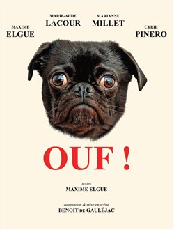 Affiche de Ouf !