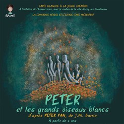 Affiche de Peter et les grands oiseaux blancs