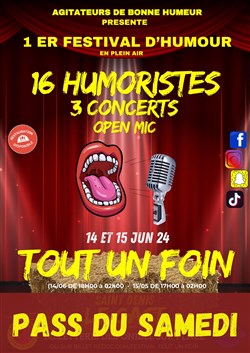 Affiche de Festival Tout un foin | Pass samedi