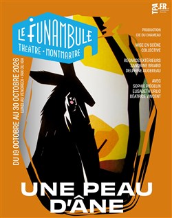 Affiche de Une Peau D'âne