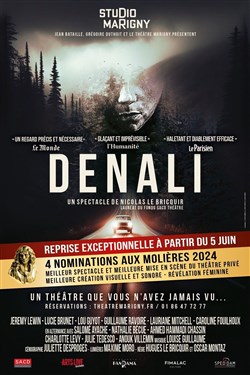 Affiche de Denali
