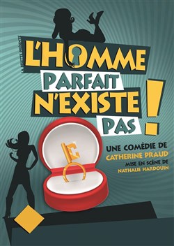 Affiche de L'homme parfait n'existe pas
