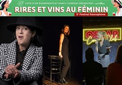 Affiche de J'ai des rides et je t'emmerde avec Bibia Dergham, Maud Mellé et Joelle Gewolb
