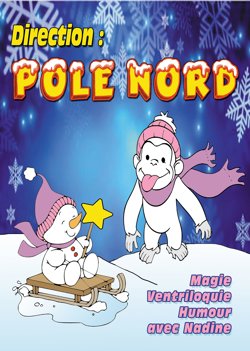 Affiche de Direction pôle nord