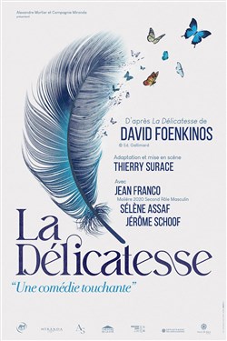Affiche de La délicatesse