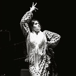 Affiche de Tablao Flamenco