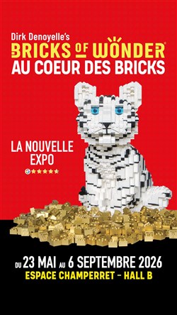 Affiche de Bricks of Wonder - Au coeur des Bricks