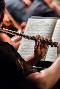 Affiche de Un Mozart concertant