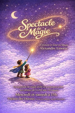 Affiche de Spectacle de Magie