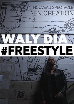 Affiche de Waly Dia dans Freestyle