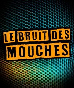 Affiche de Le bruit des mouches