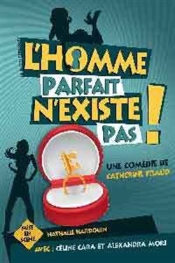 Affiche de L'homme parfait n'existe pas