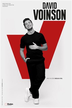 Affiche de David Voinson