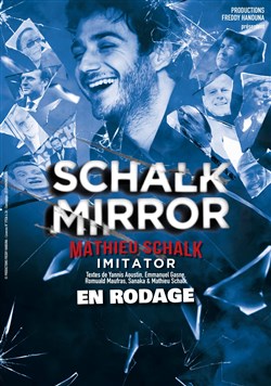 Affiche de Mathieu Schalk dans Schalk Mirror