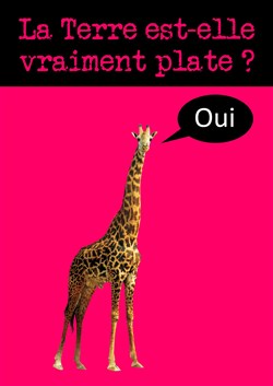 Affiche de La terre est-elle plate ?